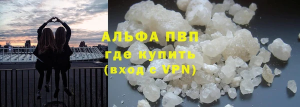 спиды Белокуриха