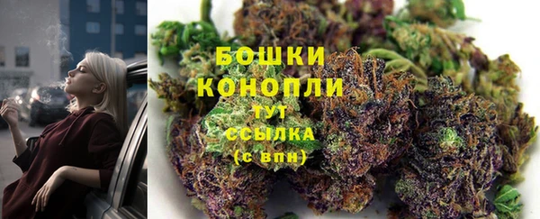 спайс Беломорск