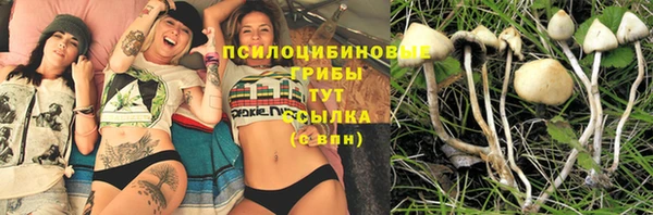 спиды Белокуриха