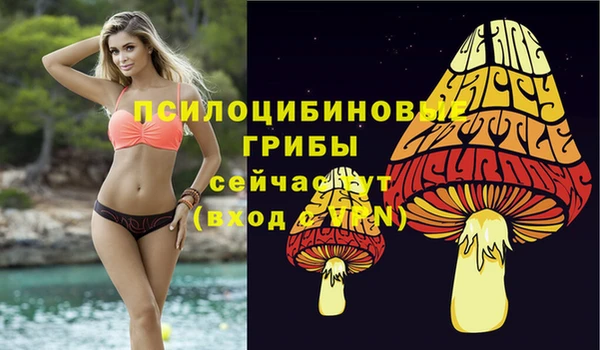 спиды Белокуриха