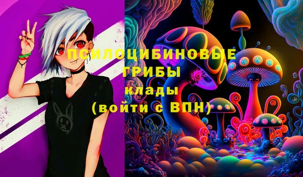 спиды Белокуриха
