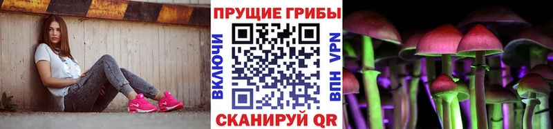 Галлюциногенные грибы Psilocybe  Купить закладки  Лакинск 